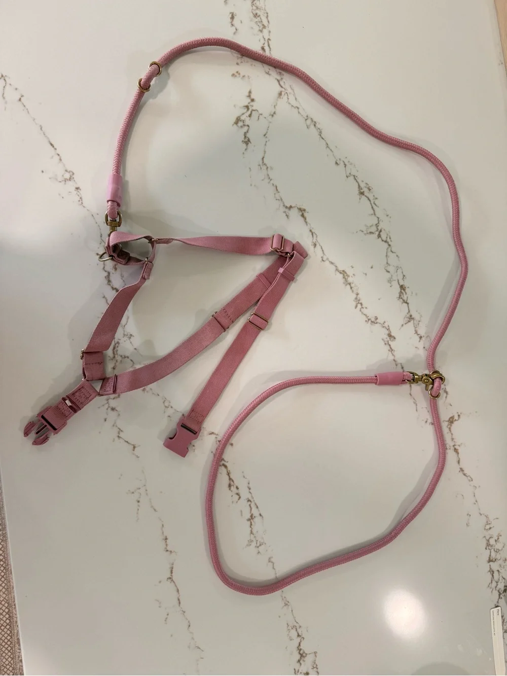 AWOO Roam Harness in Large & Infinity Leash